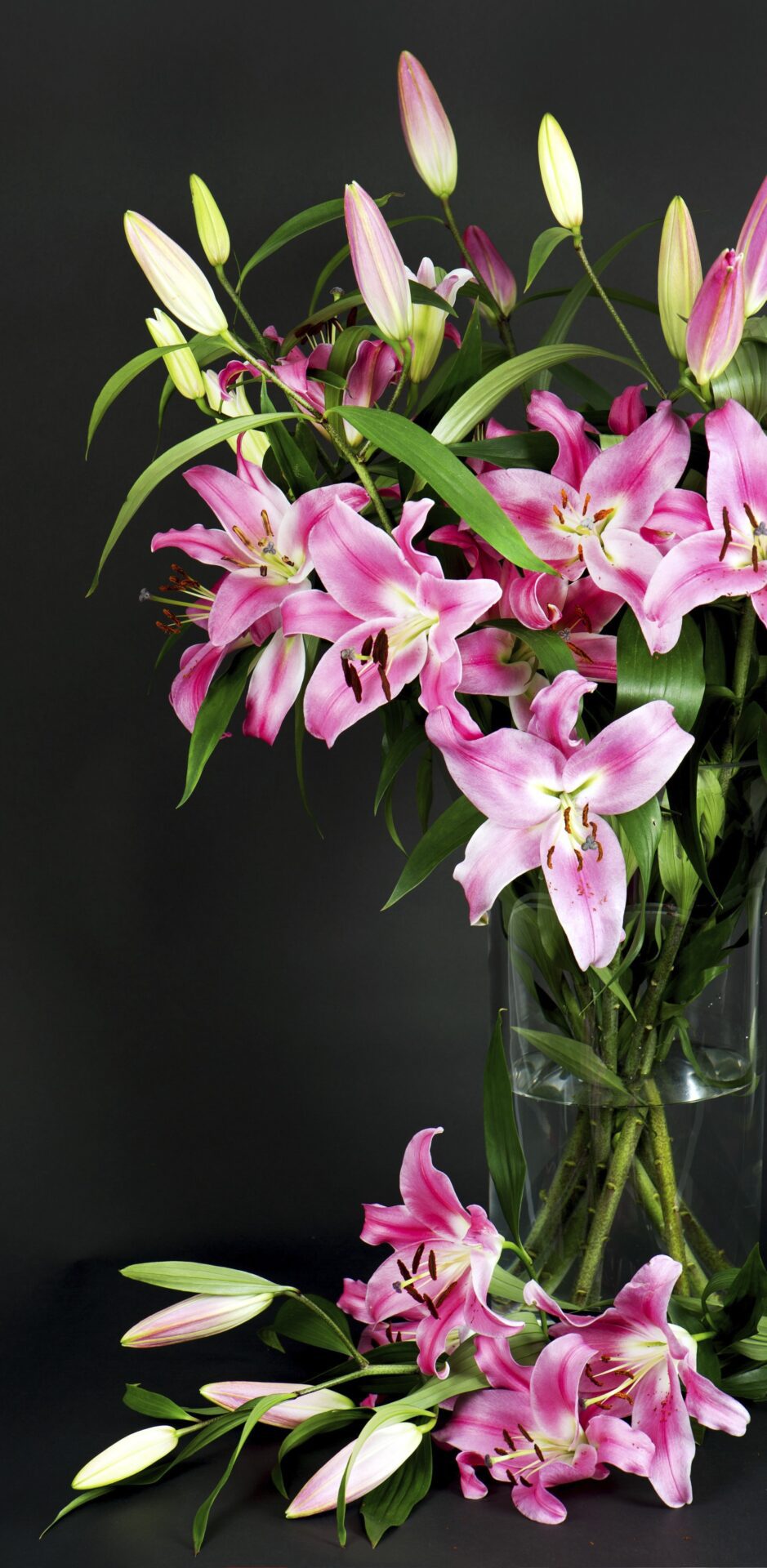 Velká obřadní síň Strašnice Velká obřadní síň Strašnice